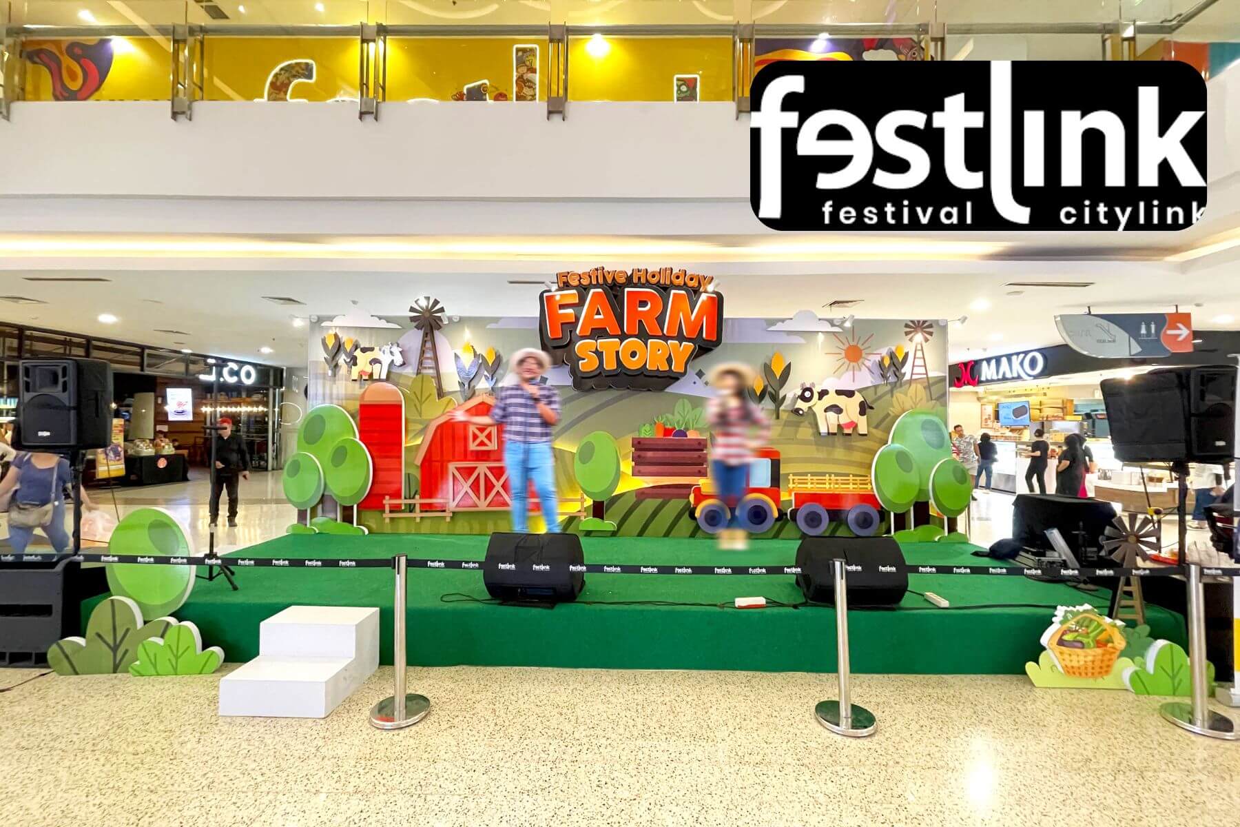festlink 9
